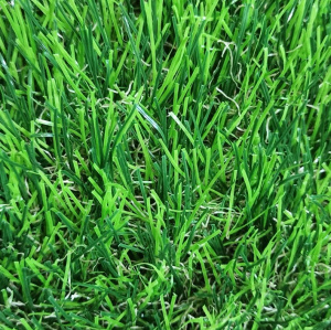Трава искусственная August 50 мм